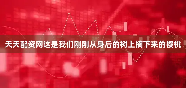 天天配资网这是我们刚刚从身后的树上摘下来的樱桃