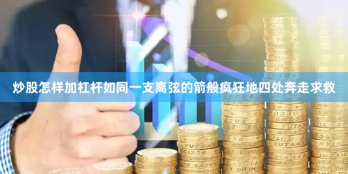 炒股怎样加杠杆如同一支离弦的箭般疯狂地四处奔走求救
