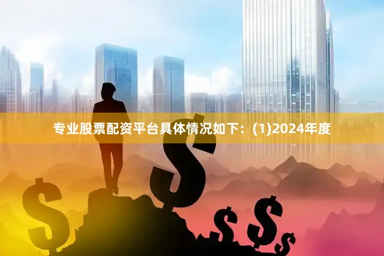 专业股票配资平台具体情况如下：(1)2024年度