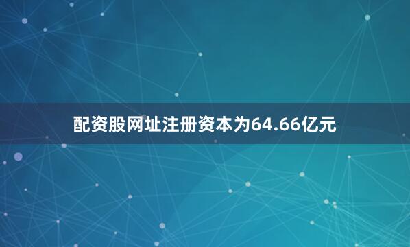 配资股网址注册资本为64.66亿元
