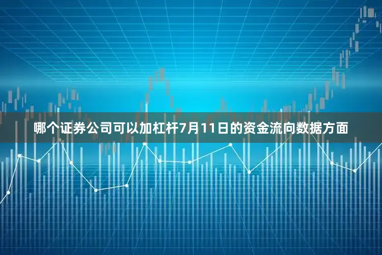 哪个证券公司可以加杠杆7月11日的资金流向数据方面