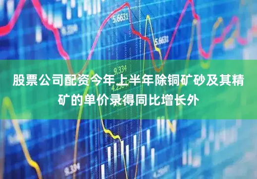股票公司配资今年上半年除铜矿砂及其精矿的单价录得同比增长外