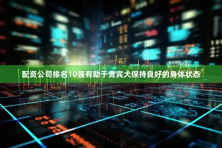 配资公司排名10强有助于贵宾犬保持良好的身体状态